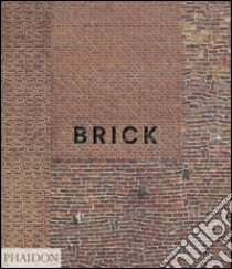 Brick. Ediz. illustrata libro di Hall W. (cur.)