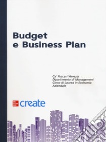 Budget e business plan libro