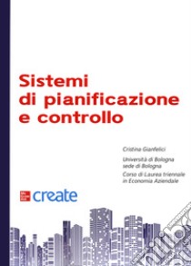 Sistemi Di Pianificazione E Controllo libro