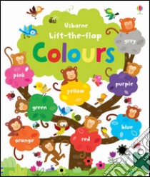 Lift the flap. Colours libro di Brooks Felicity