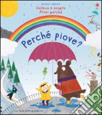 Perché piove? Ediz. illustrata libro di Daynes Katie; Pym Christine