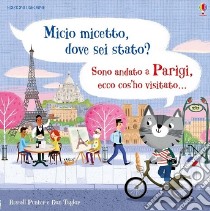 Micio micetto, dove sei stato? Parigi. Ediz. a colori libro di Punter Russell