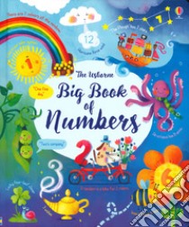 Big book of numbers. Ediz. a colori libro di Brooks Felicity