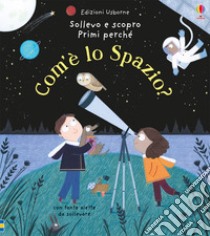 Com'è lo spazio? libro di Daynes Katie; Chisholm J. (cur.)