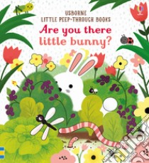 Are you there little bunny? Ediz. a colori libro di Taplin Sam