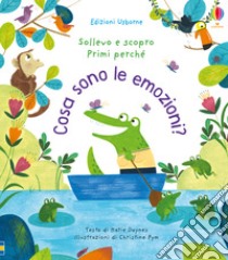 Cosa sono le emozioni? Ediz. a colori libro di Daynes Katie