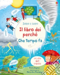 Che tempo fa? Il libro dei perché. Ediz. a colori libro di Daynes Katie; Riu L. (cur.); Samani C. (cur.); Chisholm J. (cur.)