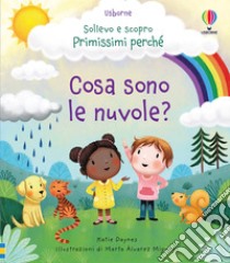 Cosa sono le nuvole? Ediz. a colori libro di Daynes Katie