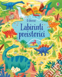 Labirinti preistorici. Ediz. a colori libro di Smith Sam