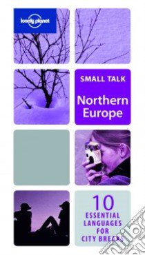 Northern Europe. Small talk. Ediz. multilingue libro