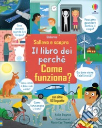 Come funziona? Il libro dei perché. Ediz. a colori libro di Daynes Katie