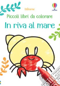 In riva al mare. Ediz. a colori libro di Nolan Kate