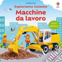 Macchine da lavoro. Ediz. a colori libro di Brooks Felicity