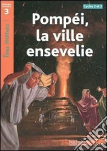 Pompéi, la ville ensevelie. Cycles 2 et 3. Niveau de lecture 3. Per la Scuola elementare libro di Odgers Sally; Galliot Lucile