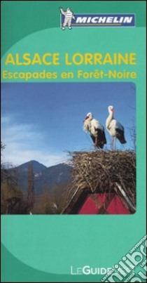 Alsace Lorraine. Escapades en Forêt-Noire libro