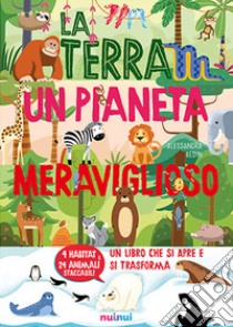 La terra un pianeta meraviglioso libro di Bedin Alessandra