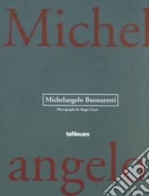 Michelangelo libro