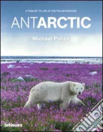 Antarctic. A tribute to life in the polar regions. Ediz. multilingue libro di Poliza Michael