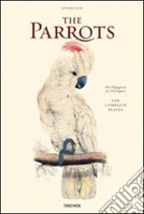 The parrots. Ediz. italiana, spagnola e portoghese libro di Solinas Francesco - Willmann Sophia