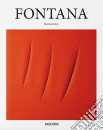 Fontana libro di Hess Barbara