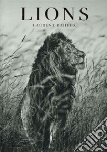 Lions. Ediz. francese, inglese e tedesca libro di Baheux Laurent