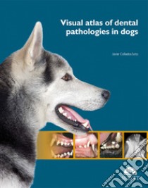 Visual atlas of dental pathologies in dogs libro di Collados Soto Javier