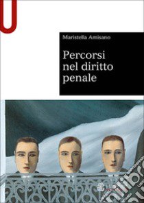 Percorsi nel diritto penale libro di Amisano Tesi Maristella