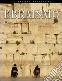 Ebraismo. Le origini, le idee fondamentali, i credenti, l'ebraismo oggi libro di Senker Cath