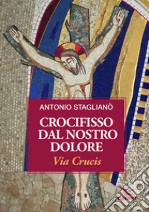 Crocifisso dal nostro dolore. Via crucis libro di Staglianò Antonio