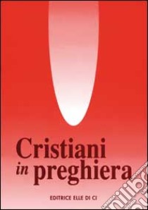 Cristiani in preghiera libro