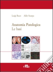 Anatomia patologica. Le basi. Vol. 1 libro di Scarpa Aldo; Ruco Luigi