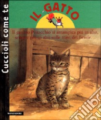 Il gatto libro di Piquemal Michel