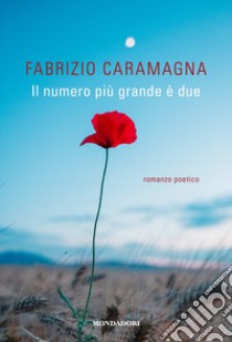 Il numero più grande è due libro di Caramagna Fabrizio