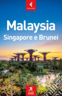 Malaysia, Singapore e Brunei libro di Young Charles; Ferrarese Marco; Willmore Simon