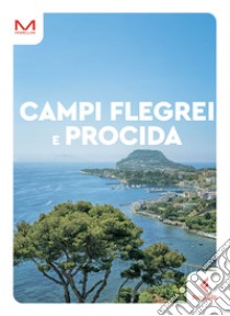 Campi Flegrei e Procida libro di Covelli Rita