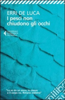 I pesci non chiudono gli occhi libro di De Luca Erri