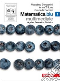 Matematica.blu. Algebra. Geometria. Statistica. Per le Scuole superiori. Con DVD-ROM. Con espansione online. Vol. 1 libro di Bergamini Massimo, Trifone Anna, Barozzi Graziella