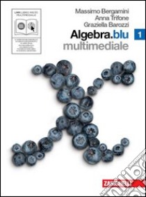 Algebra. Blu. Per le Scuole superiori. Con CD-ROM. Con DVD. Con espansione online. Vol. 1 libro di Bergamini Massimo, Trifone Anna, Barozzi Graziella