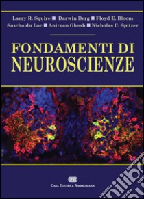 Fondamenti di neuroscienze. Con Contenuto digitale (fornito elettronicamente) libro di Squire Larry; Berg Darwin; Bloom Floyd E.