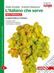 L'italiano che serve. La grammatica e il lessico.  libro di ARCIELLO ADELE - MAIORANO ANTONIO