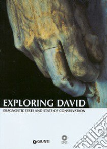 Exploring David. Diagnostic tests and state of conservation libro