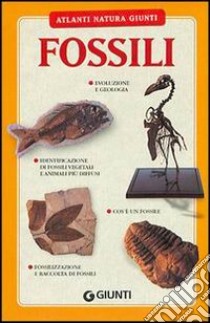 Fossili libro di Bertini Letizia