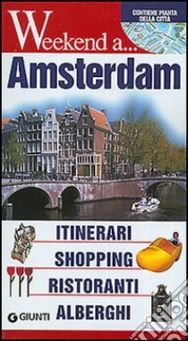 Amsterdam. Itinerari, shopping, ristoranti, alberghi libro