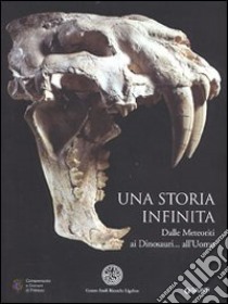 Una storia infinita. Dalle meteoriti ai dinosauri... all'uomo libro di Bizzarini Fabrizio; Garofalo Francesco; Toffol Marco