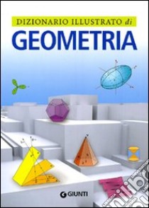 Dizionario illustrato di geometria. Ediz. illustrata libro