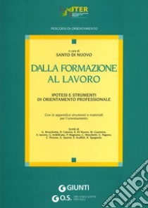 Dalla formazione al lavoro. Ipotesi e strumenti di orientamento professionale libro di Di Nuovo S. (cur.)