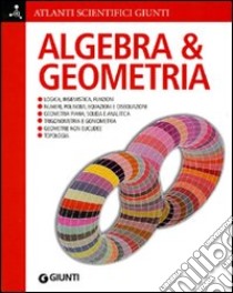 Algebra e geometria libro di Bubboloni Daniela; Renzoni Nazario