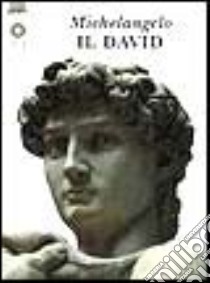 Michelangelo. Il David. Ediz. illustrata libro di Ciuccetti Laura