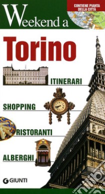 Torino. Itinerari, shopping, ristoranti, alberghi libro