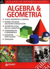 Algebra e geometria libro di Bubboloni Daniela; Renzoni Nazario